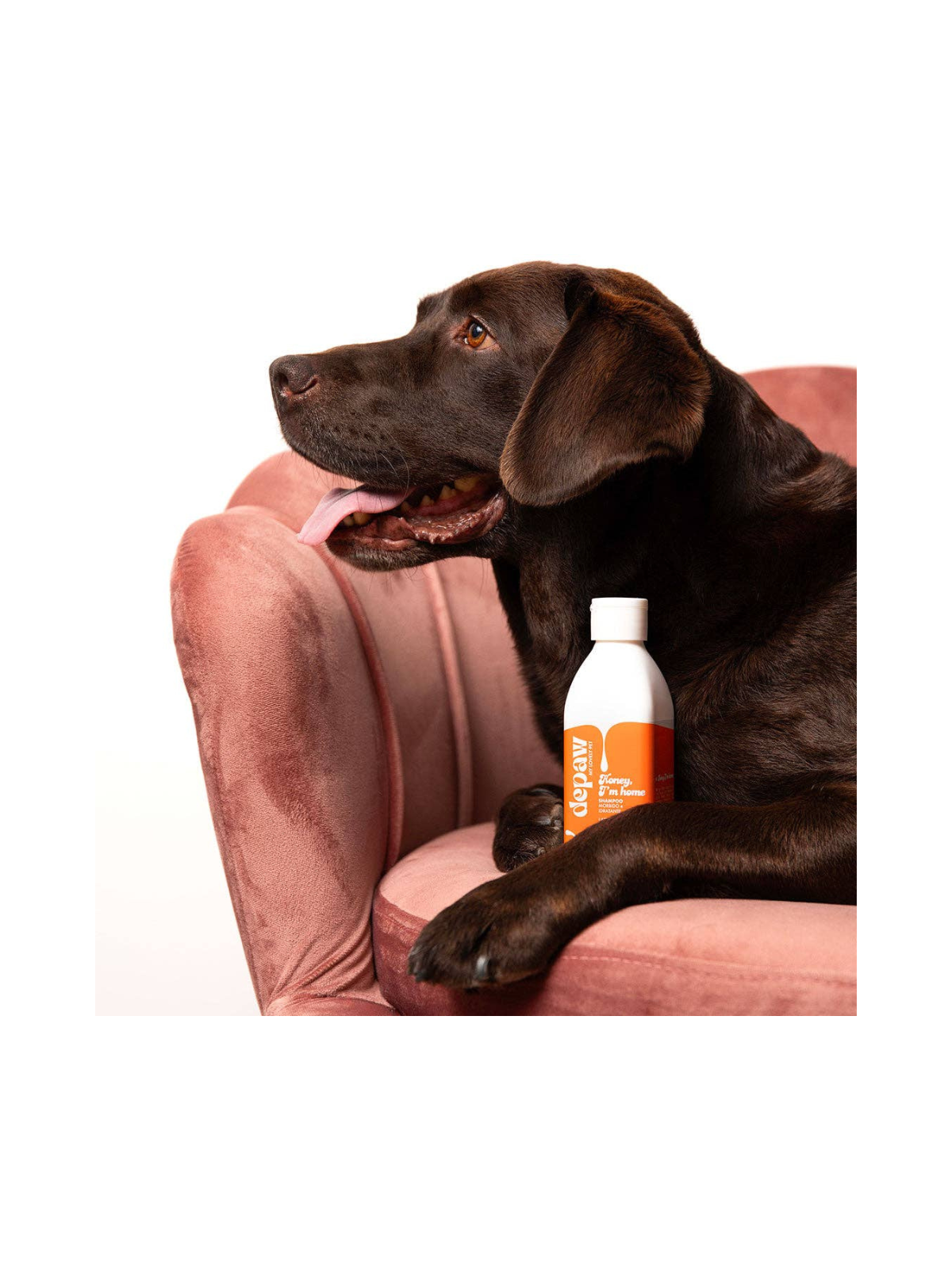 Honey, I'm Home – Moisturising Dog Shampoo