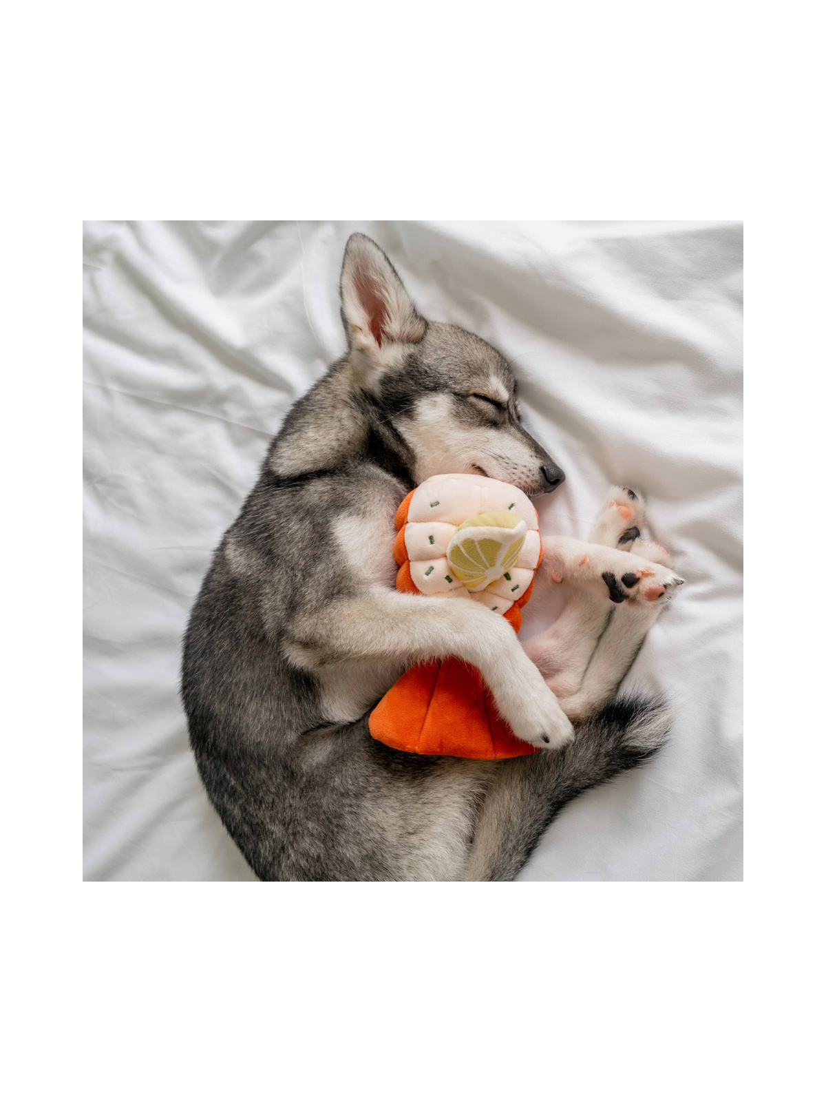 Grilled Lobster Nosework Toy