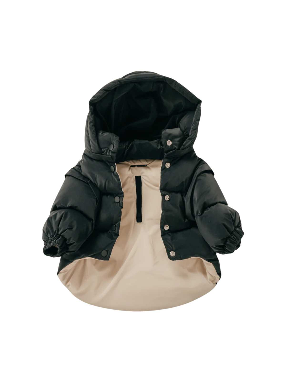 The Modular Puffer – Midnight