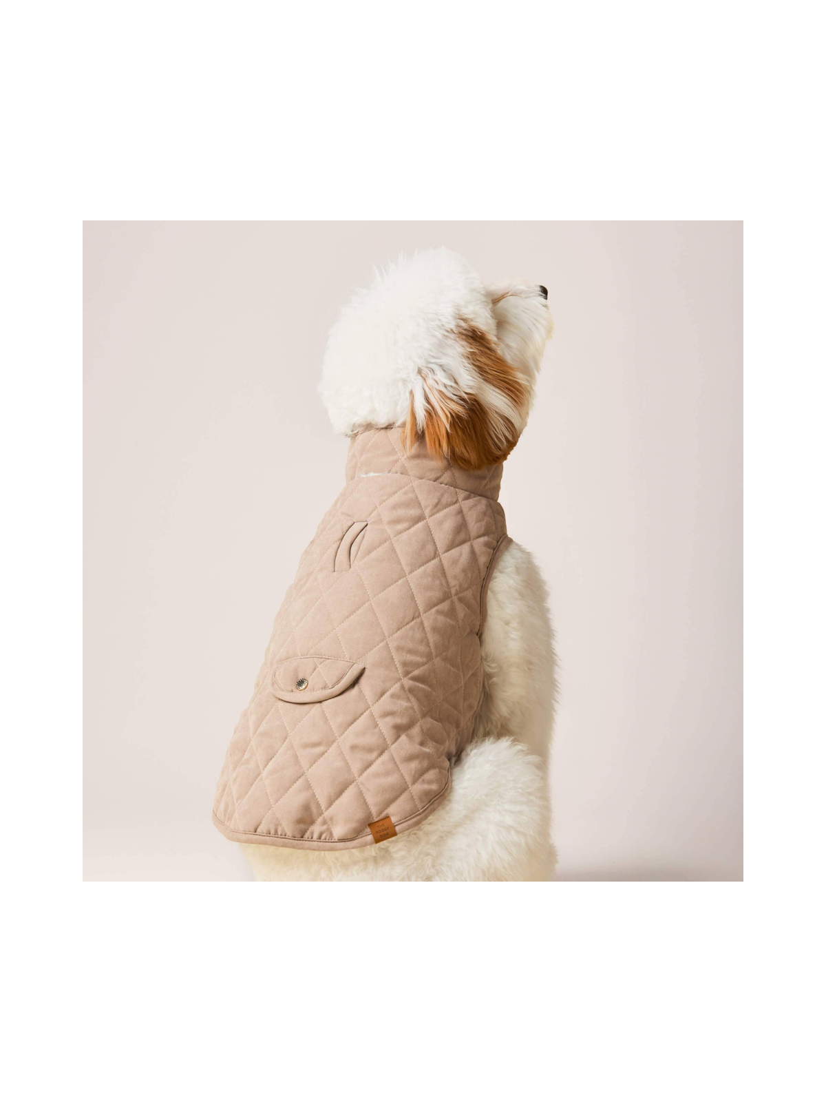Fawn Sherpa-Lined Reversible Dog Jacket