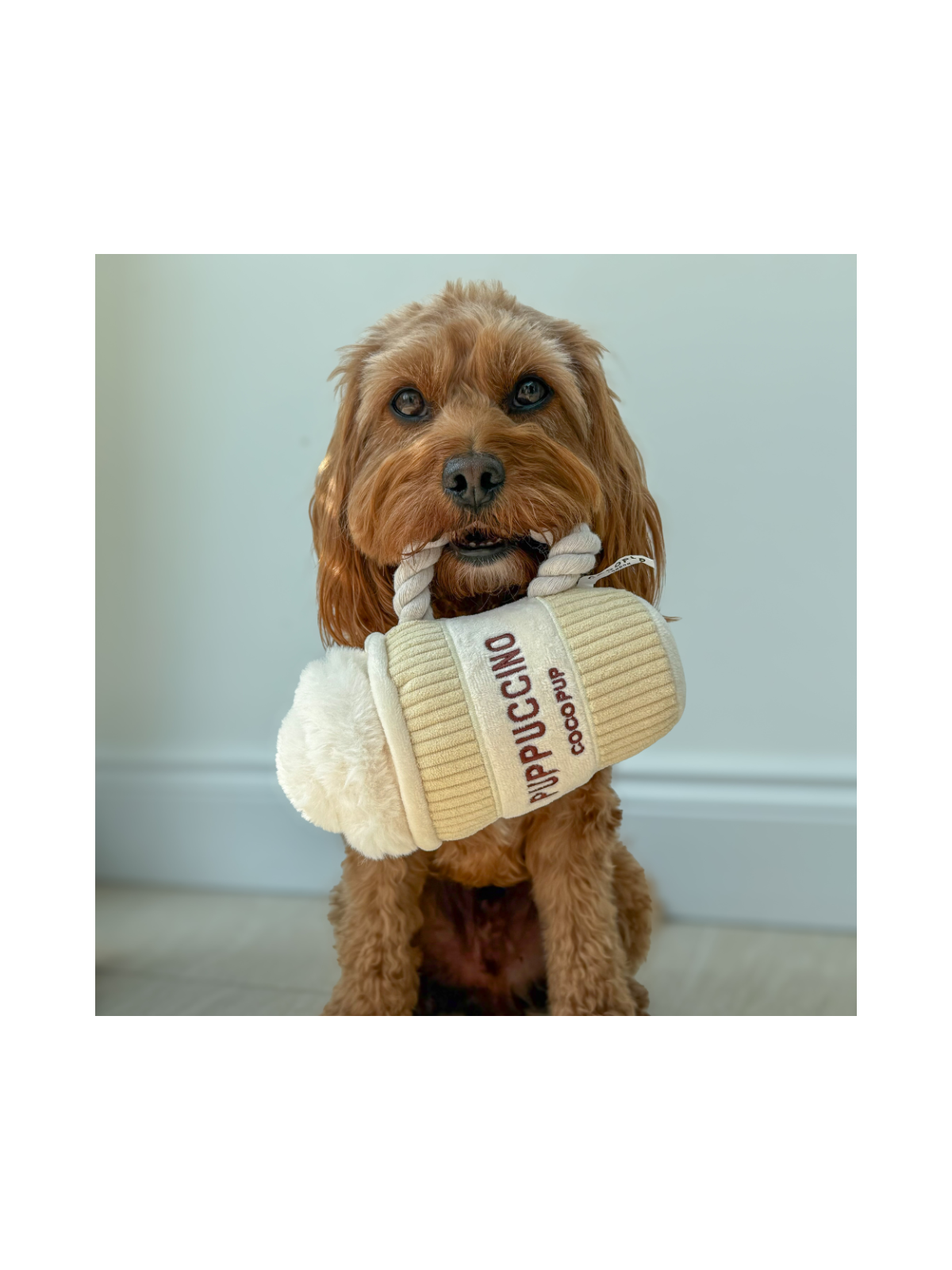 Puppuccino Dog Toy