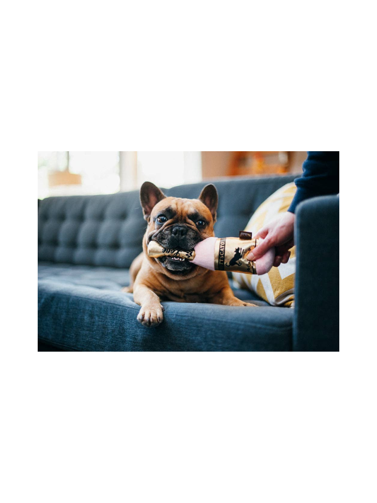 Puppy Love Barking Bubbly