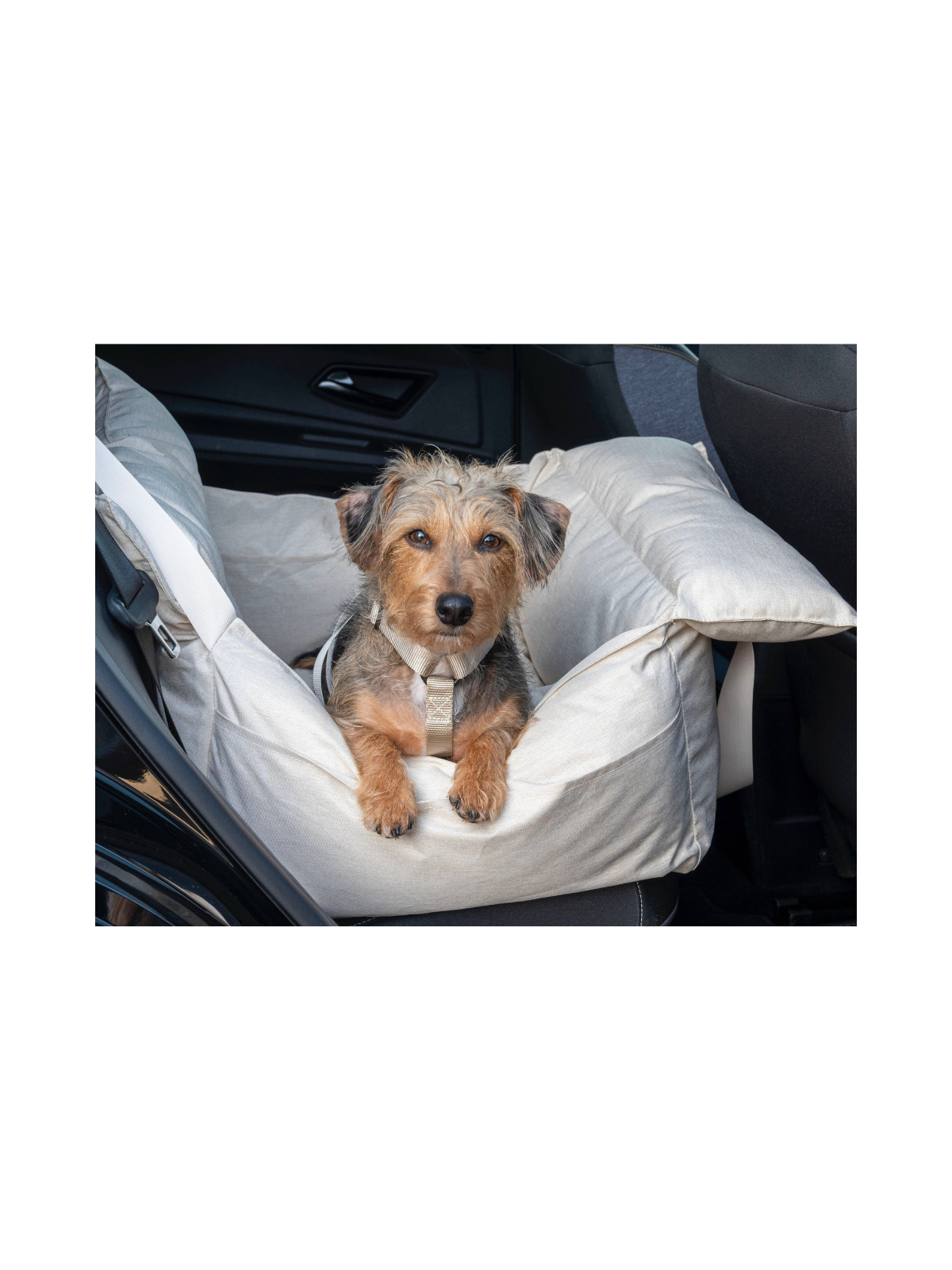 Dog Car Seat – Beige