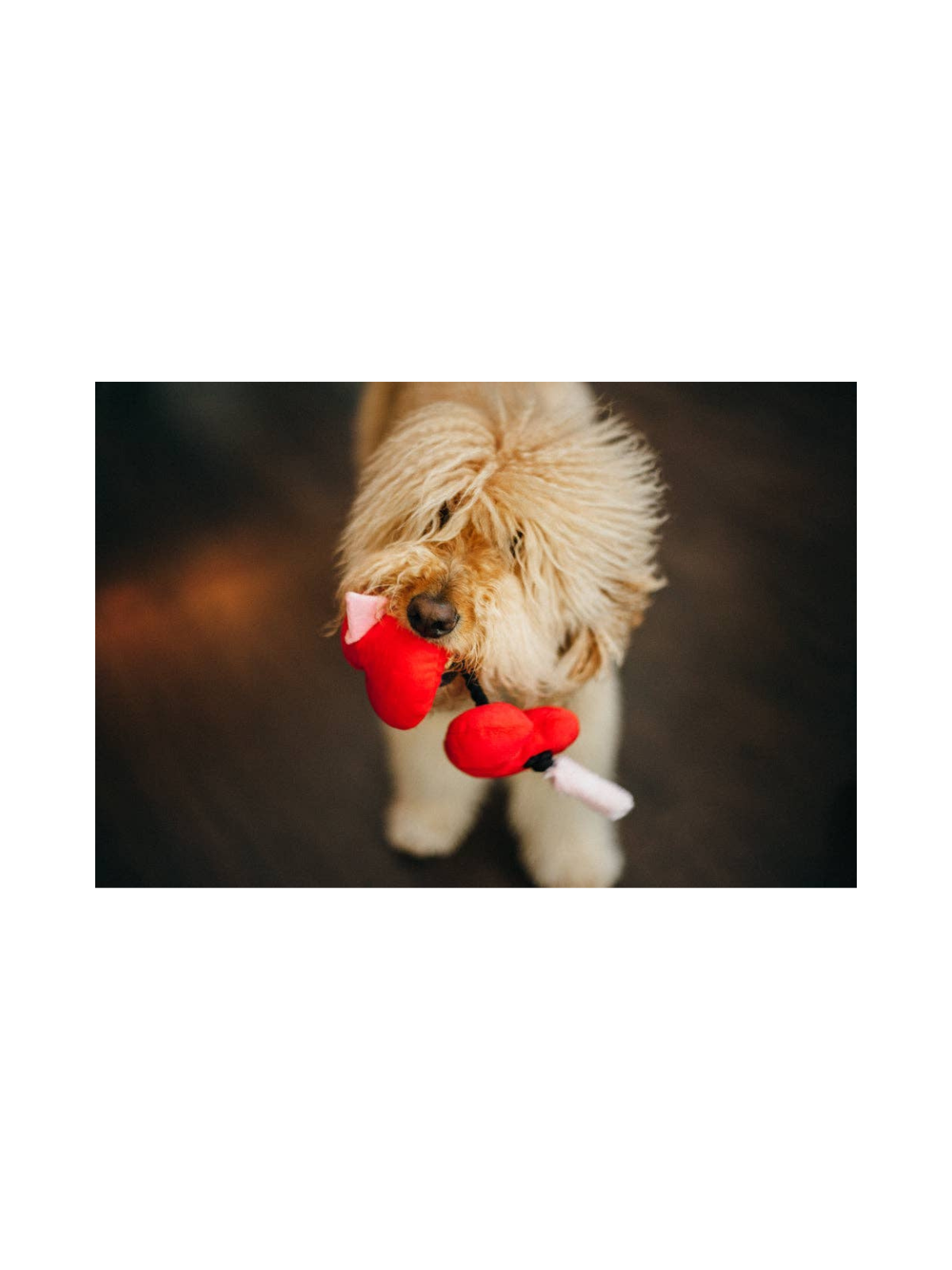 Puppy Love Fur-ever Hearts