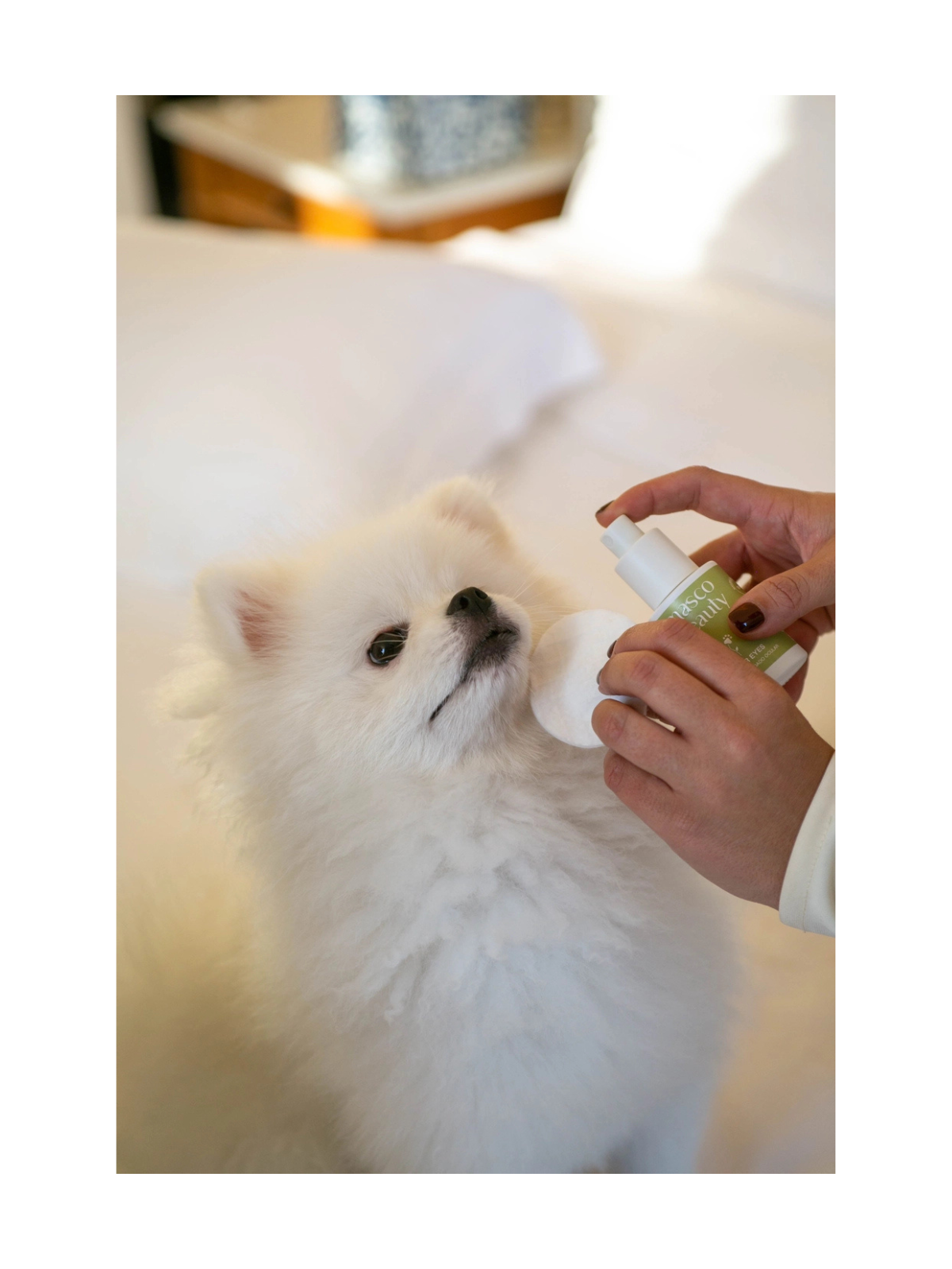 Eyes Cleaner and Tear Zone