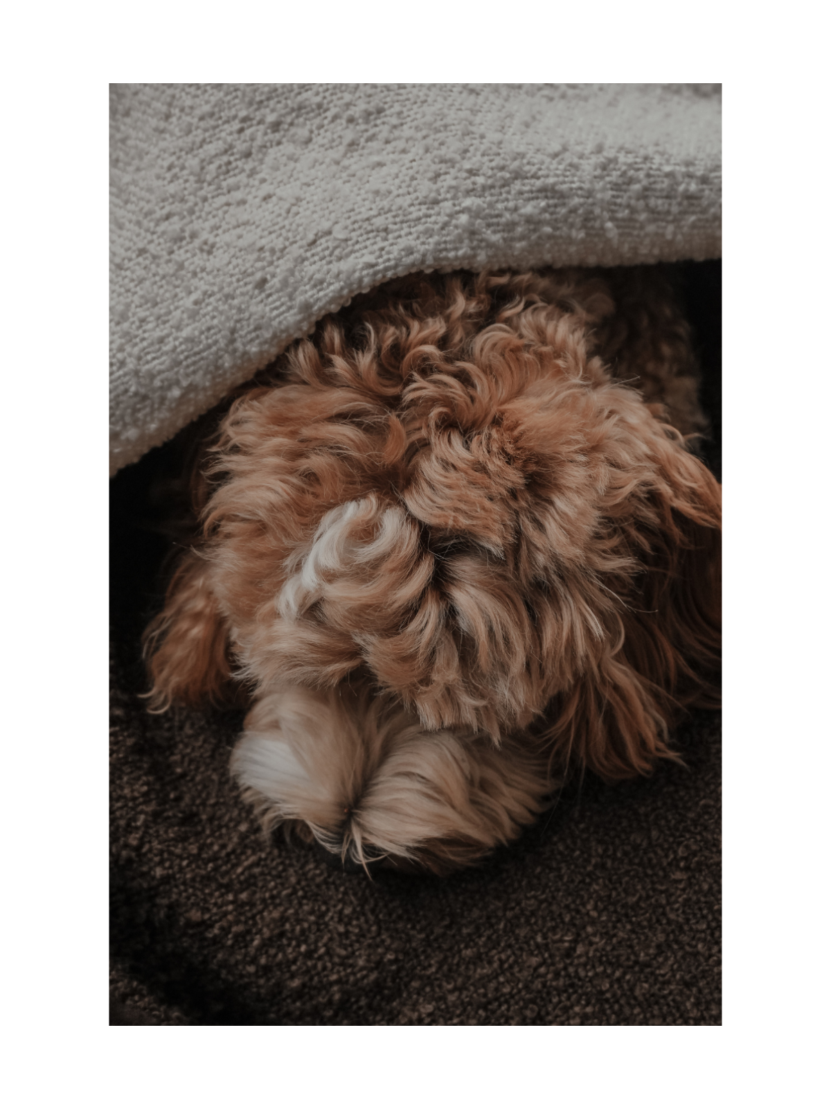The Bouclé Blanket - Marshmallow