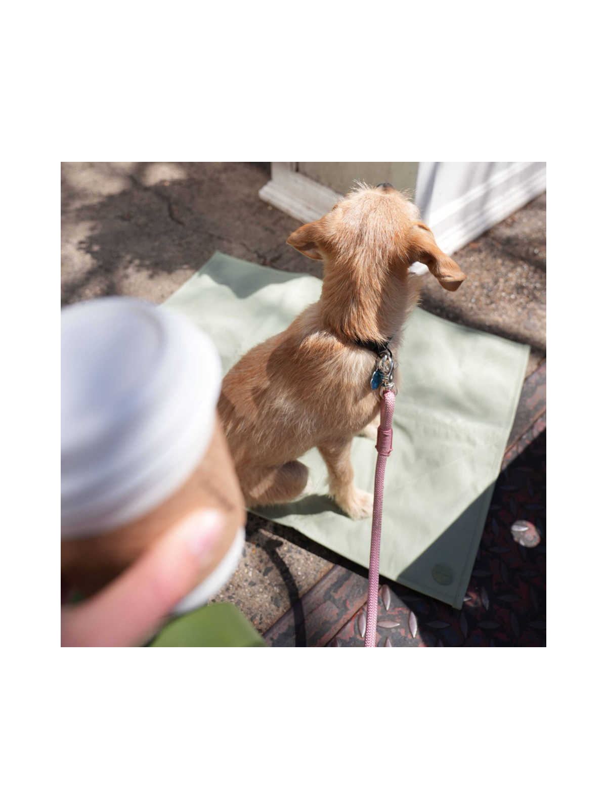 Jouir Pet Travel Mat – Sage