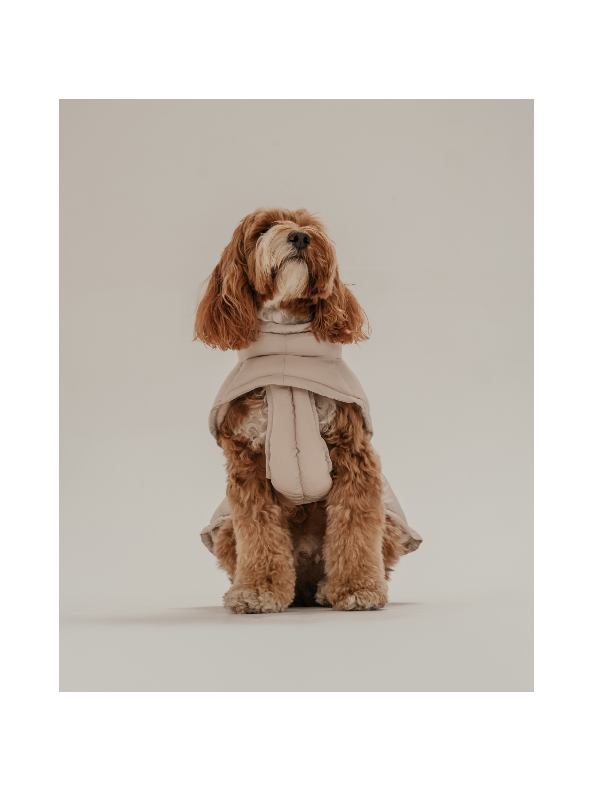 The Capsule Puffer Dog Coat – Hazelnut