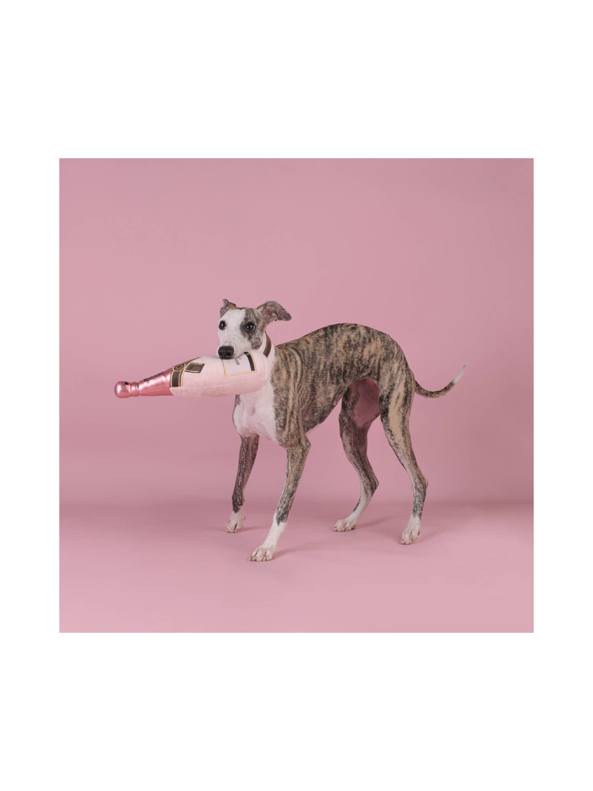 Pink Champagne Bottle Dog Toy