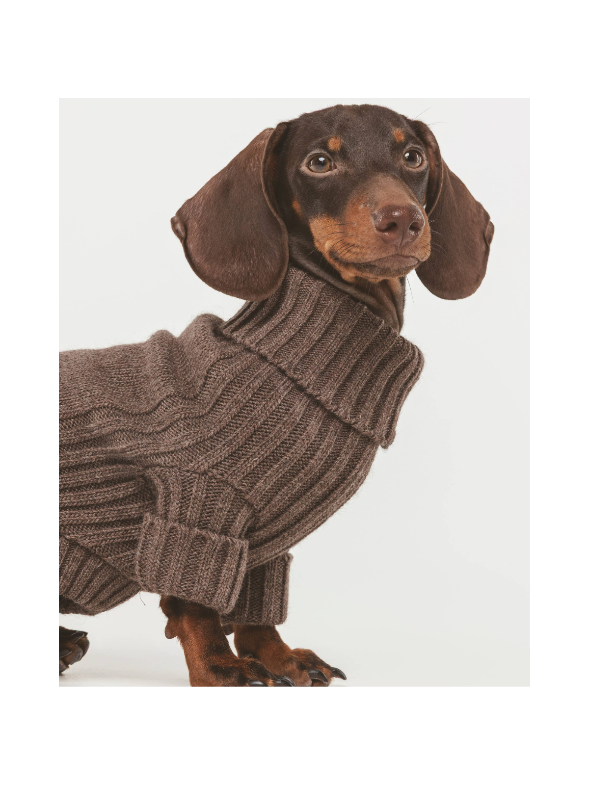 Pantone Sweater – Moka