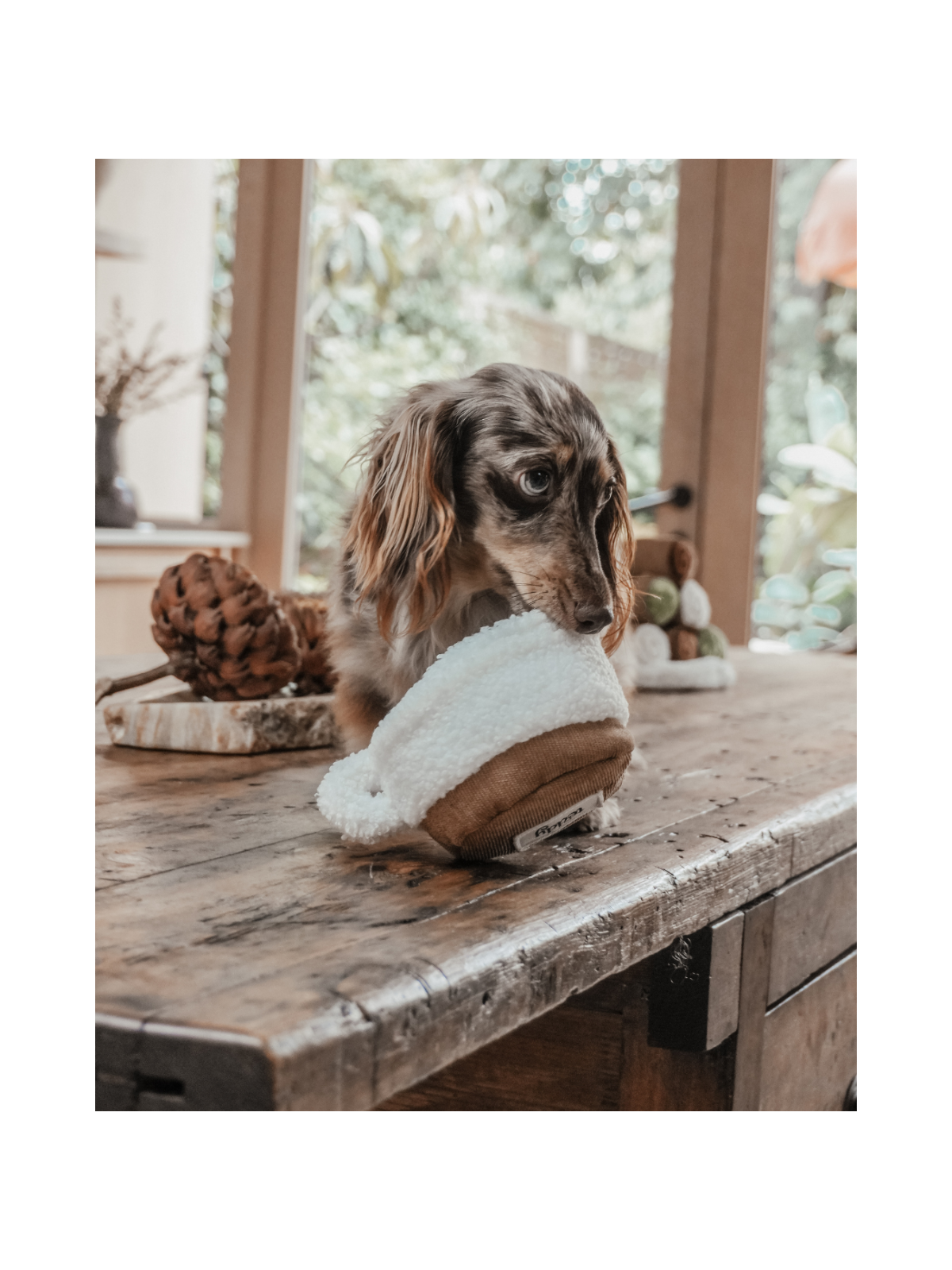 Matcha Latte Cup Interactive Dog Toy