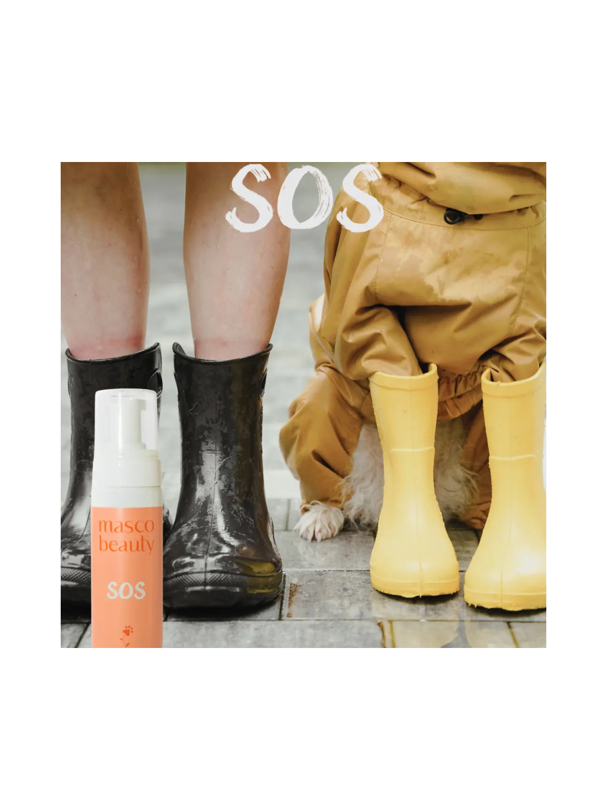 Dry Foam Mousse Shampoo