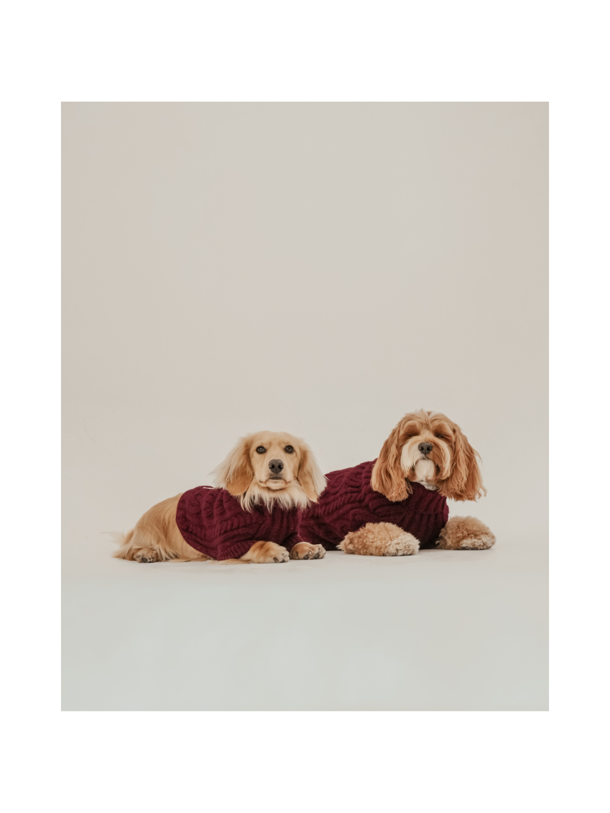 The Capsule Cable Knit Dog Sweater – Bordeaux