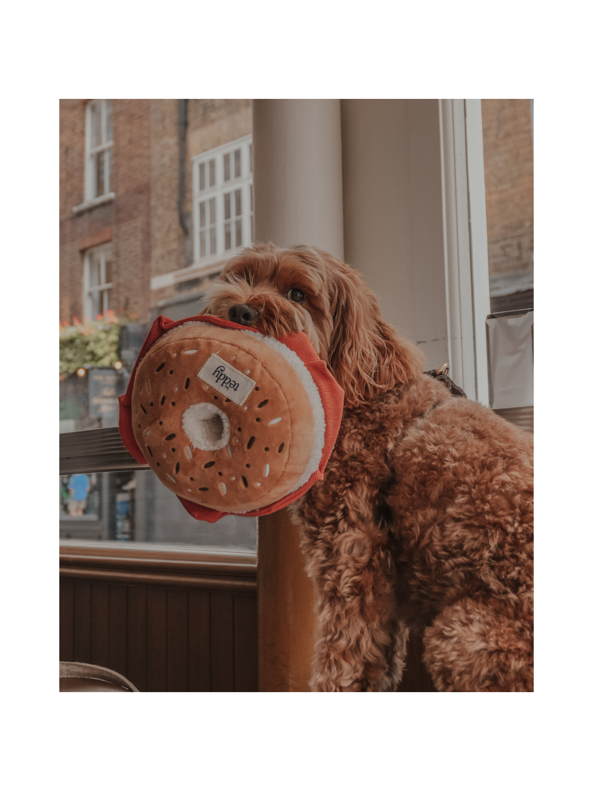Salmon & Cream Cheese Bagel Interactive Dog Toy