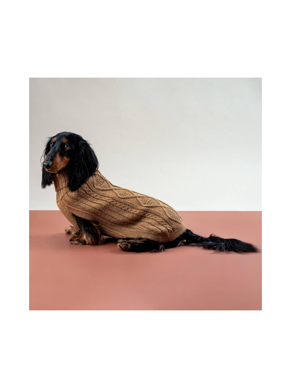 Aran Alpaca Dog Sweater – Camel