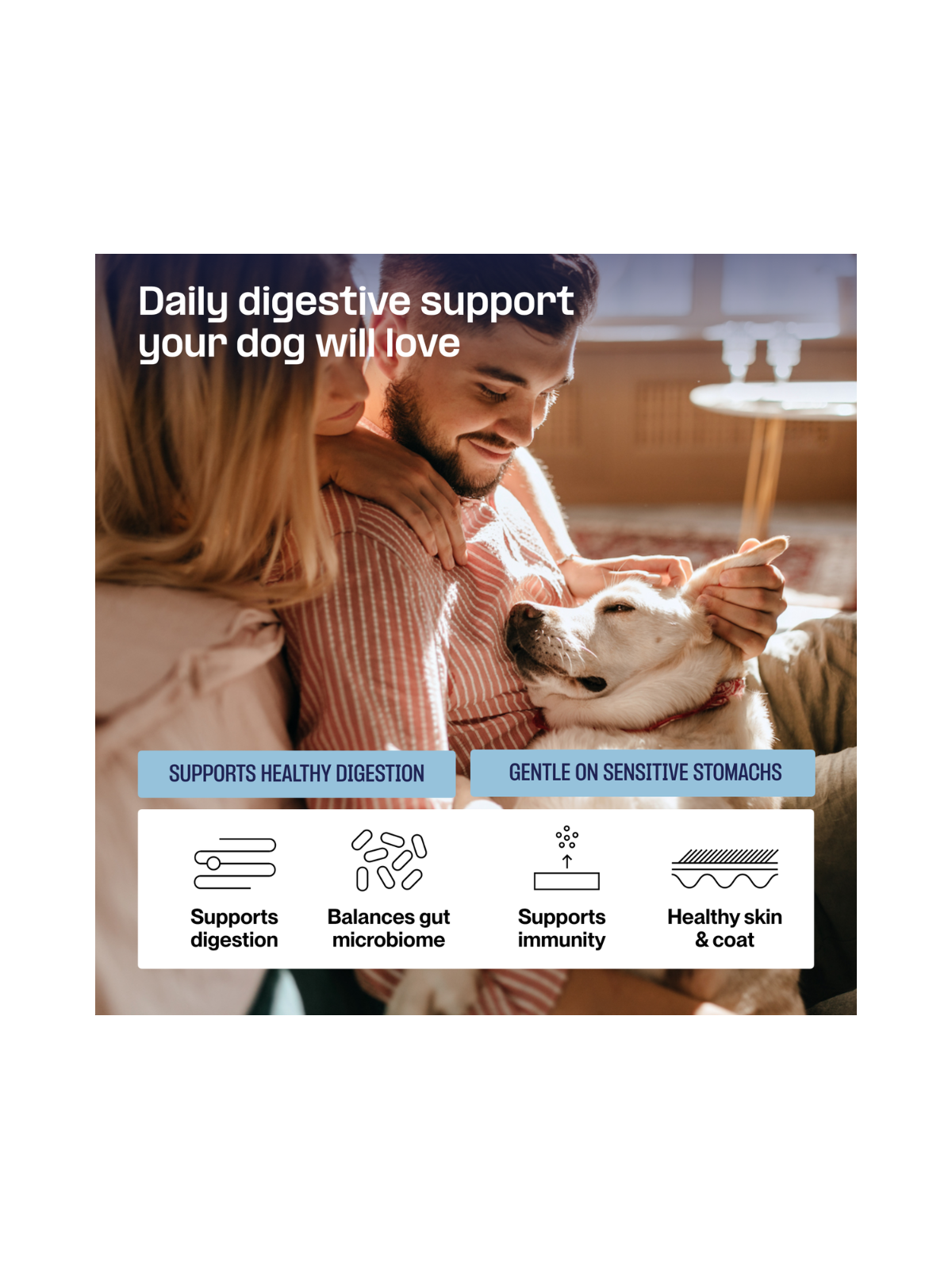 Digest Probiotic Gut Soft Chews