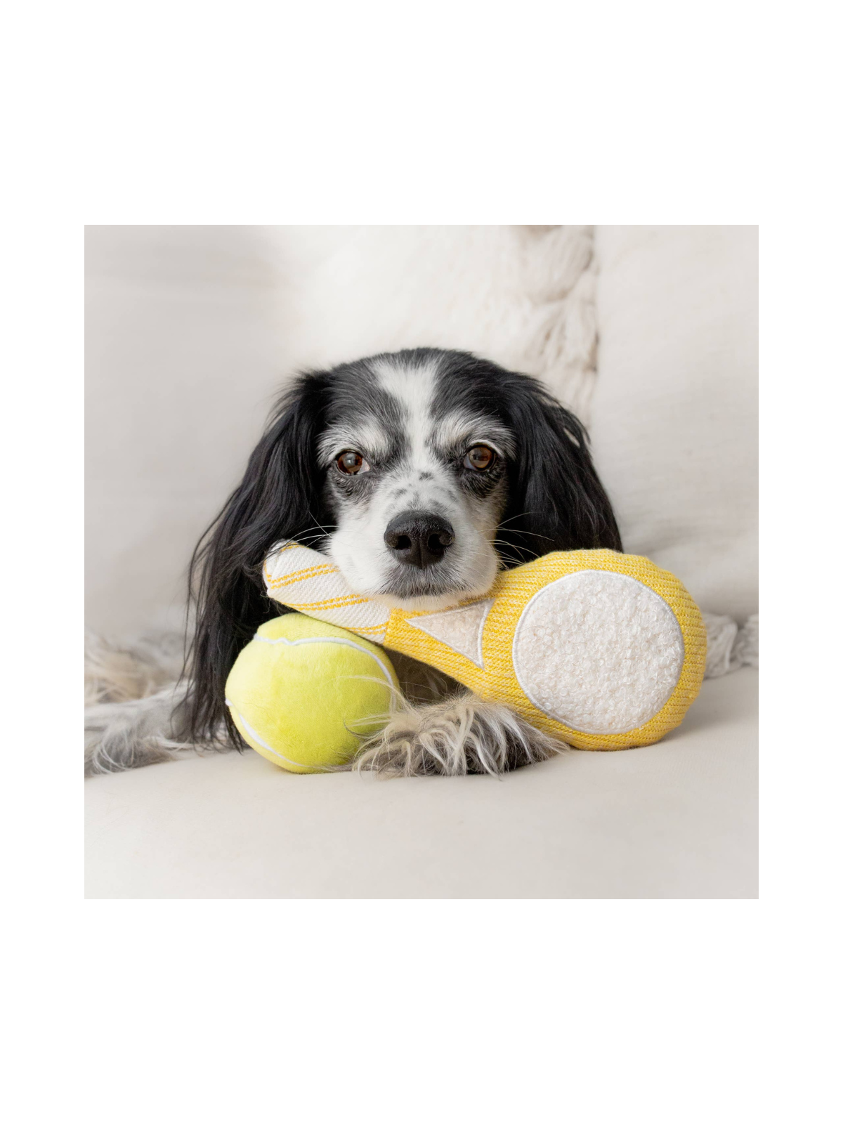 Tennis POP Enrichment Dog Toy