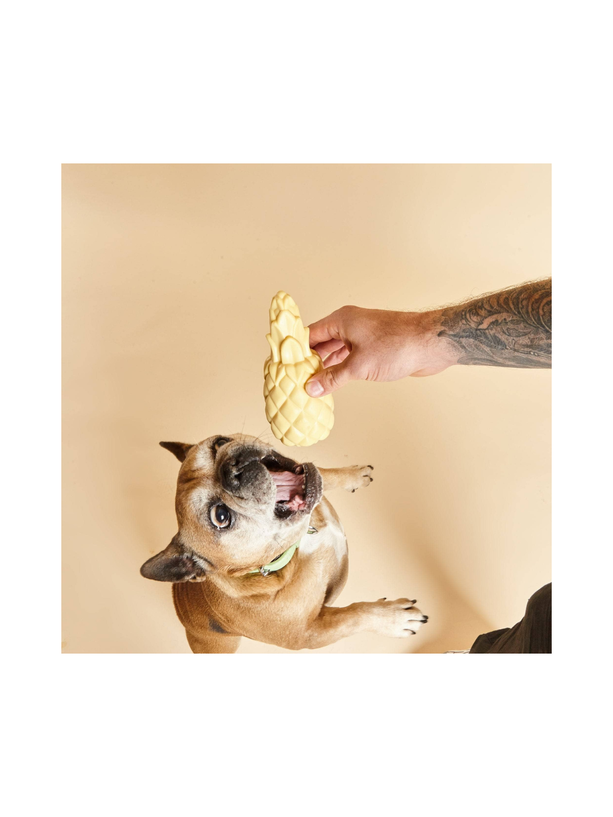 Pineapple Shaped Squeaky Dog Toy