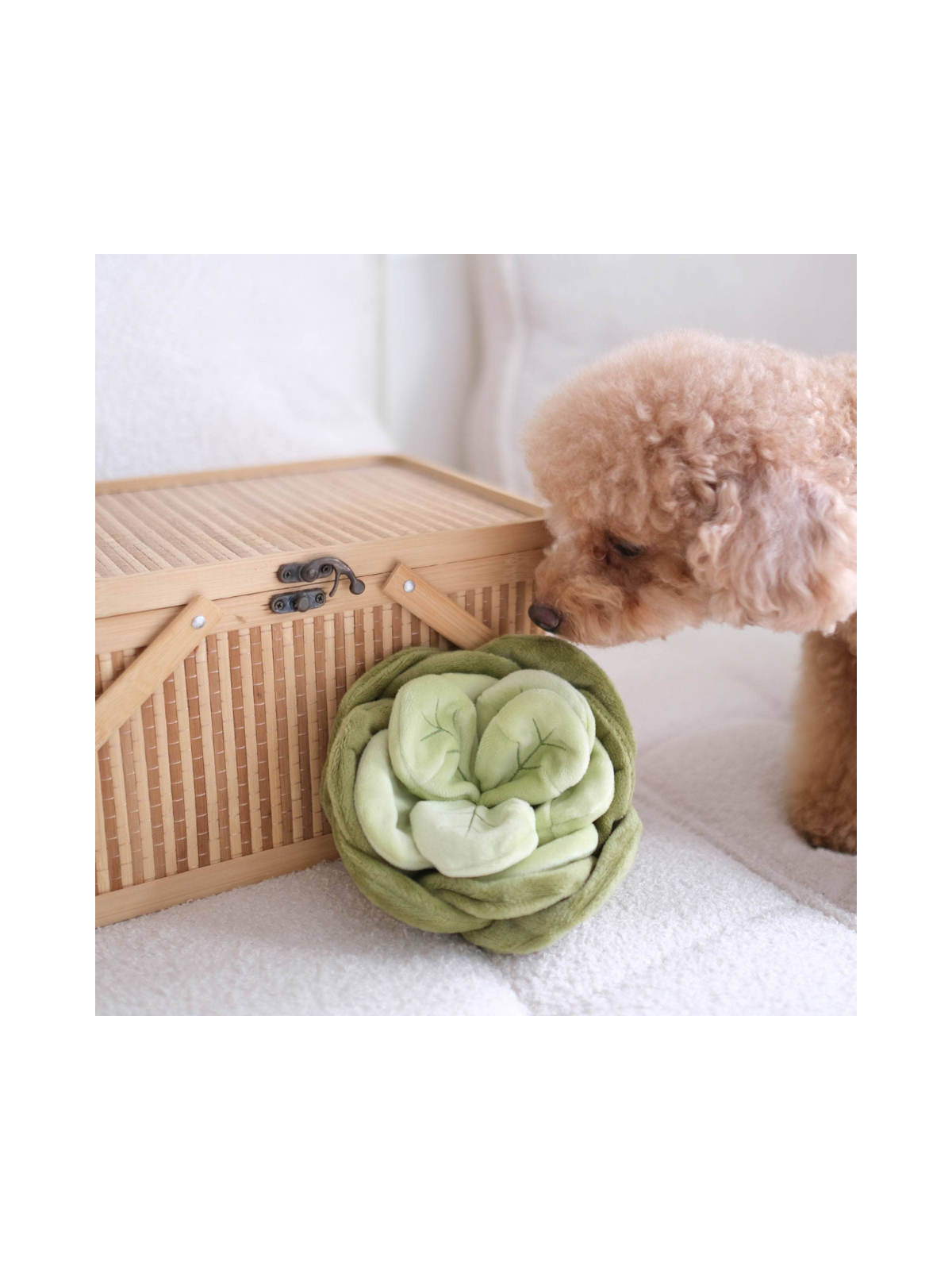 Snuffle Cabbage Nosework Toy