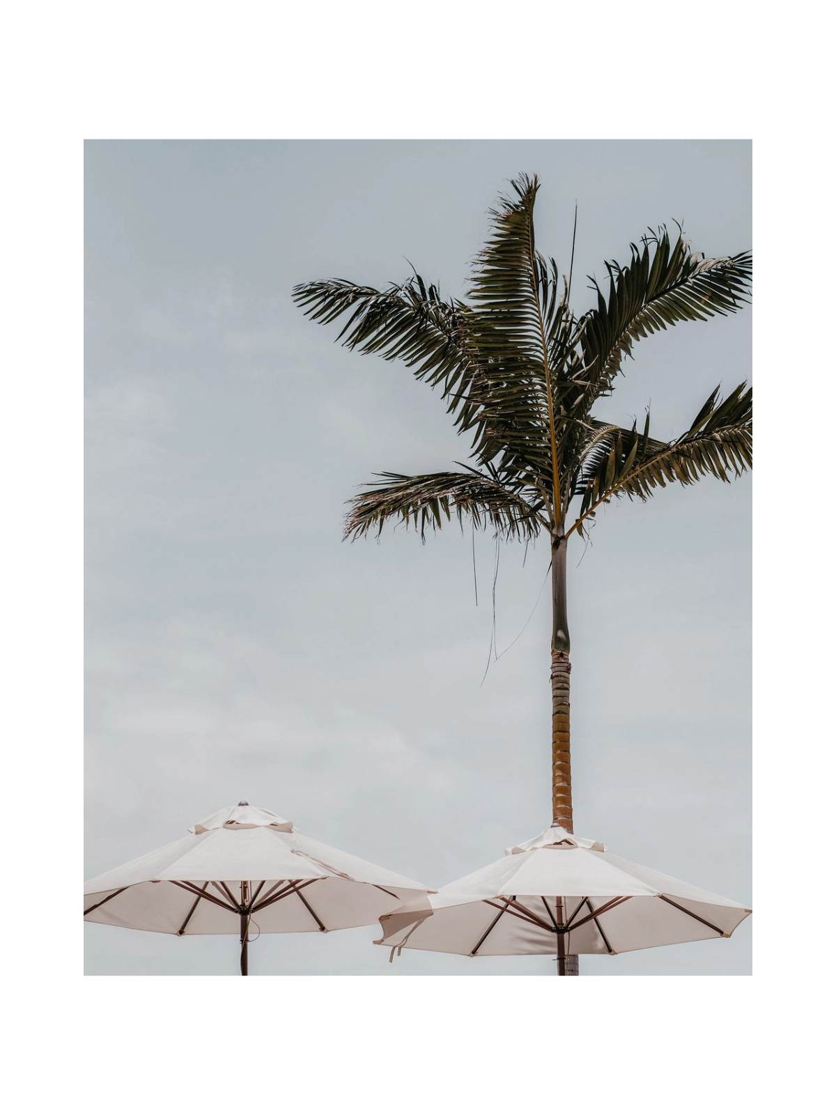 SPF30 Natural Sun Protector