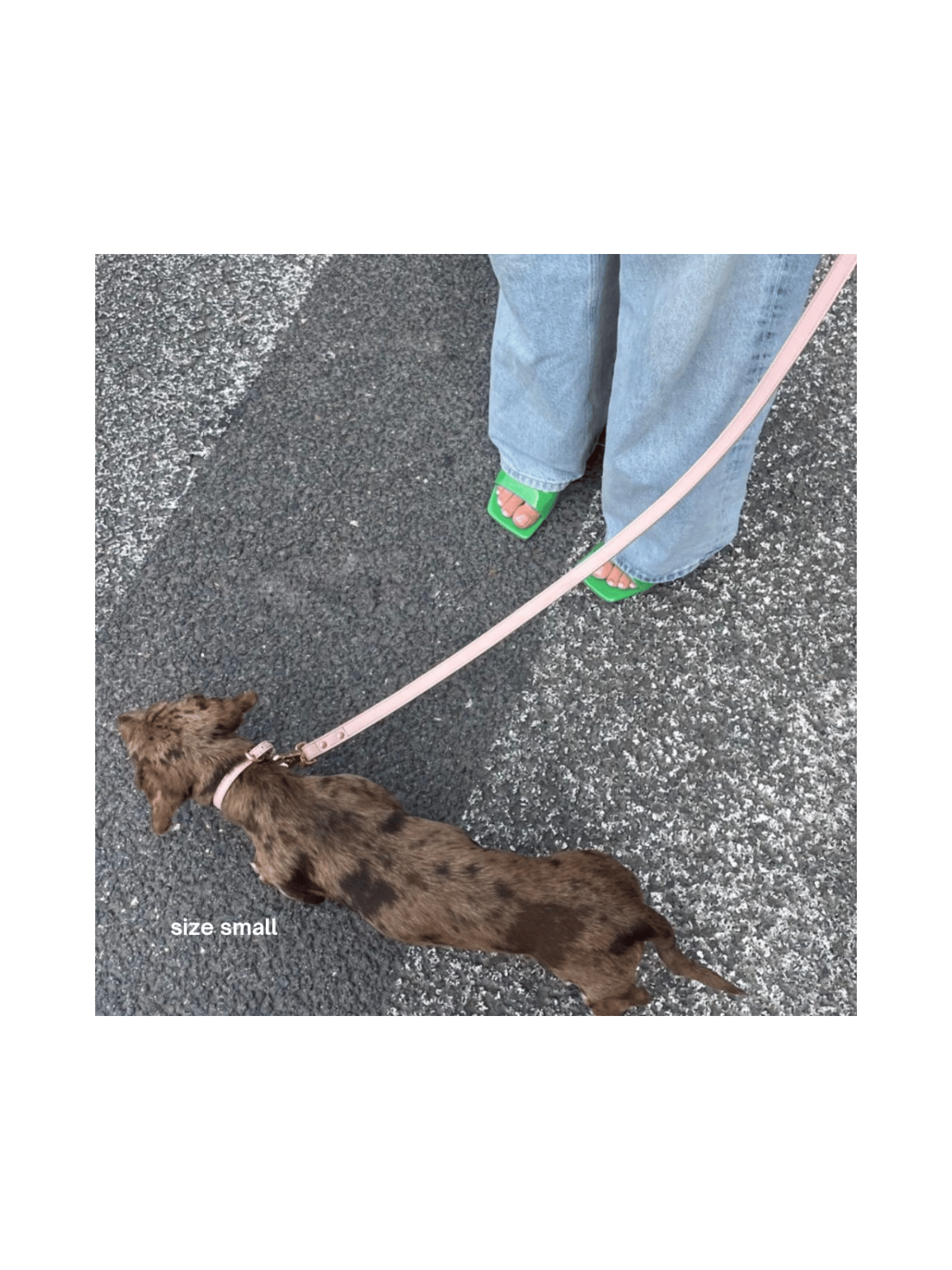 Collar – Marshmallow
