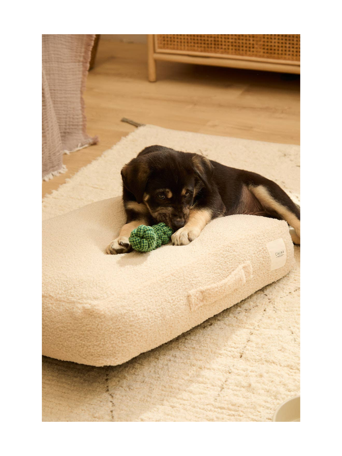 Taico Teddy Dog Cushion – Beige