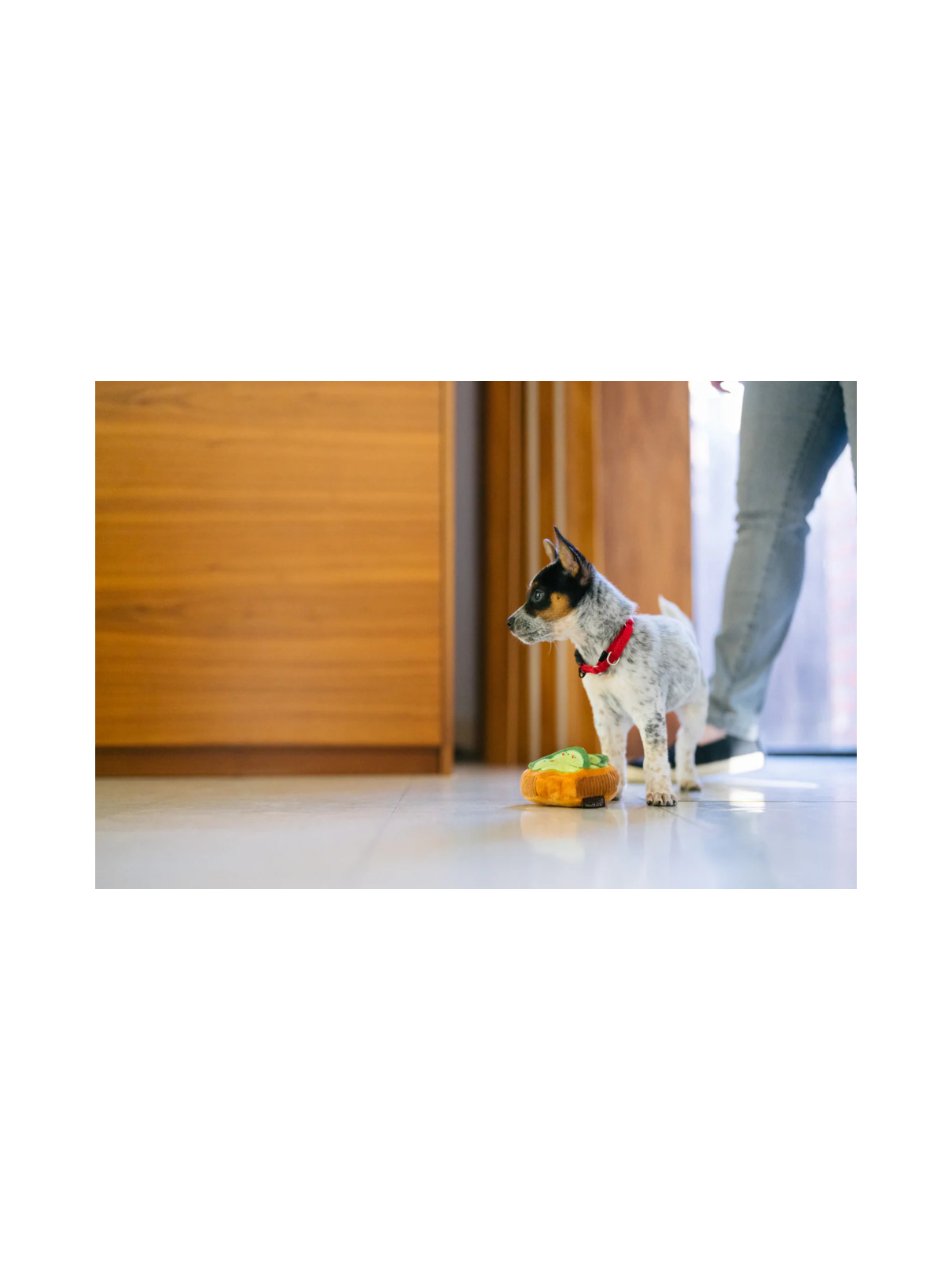 Barking Brunch Avo-doggo Toast