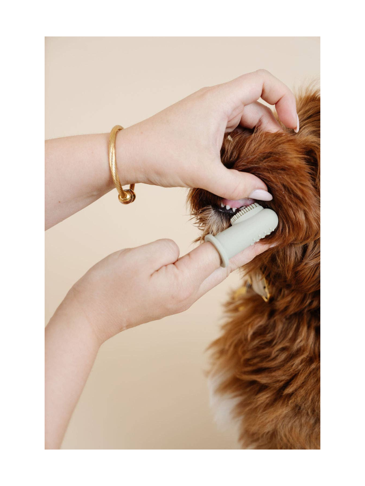 Puppy Breath Toothbrush – Rose