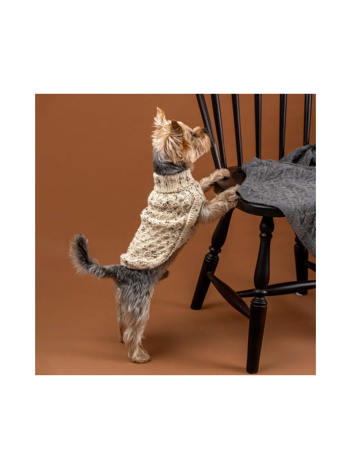 Speckled Ivory Alpaca Dog Sweater