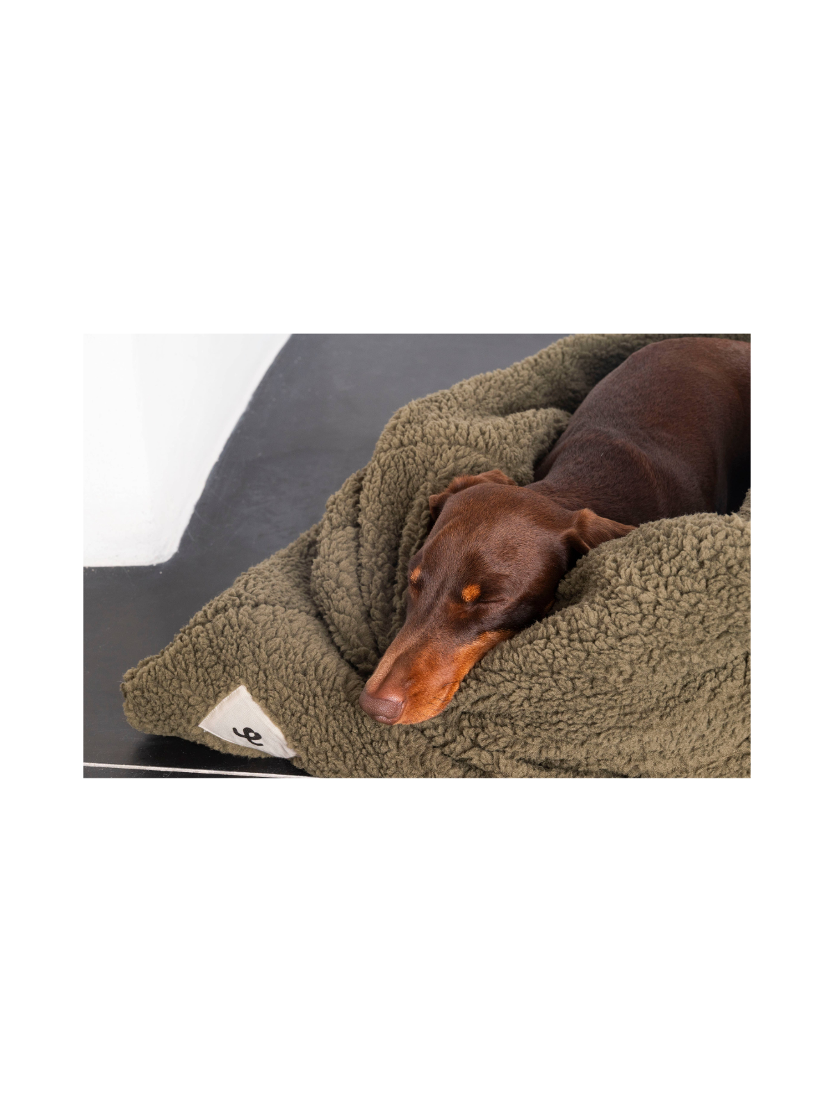 Teddy Cuddle Sleeping Bag – Olive