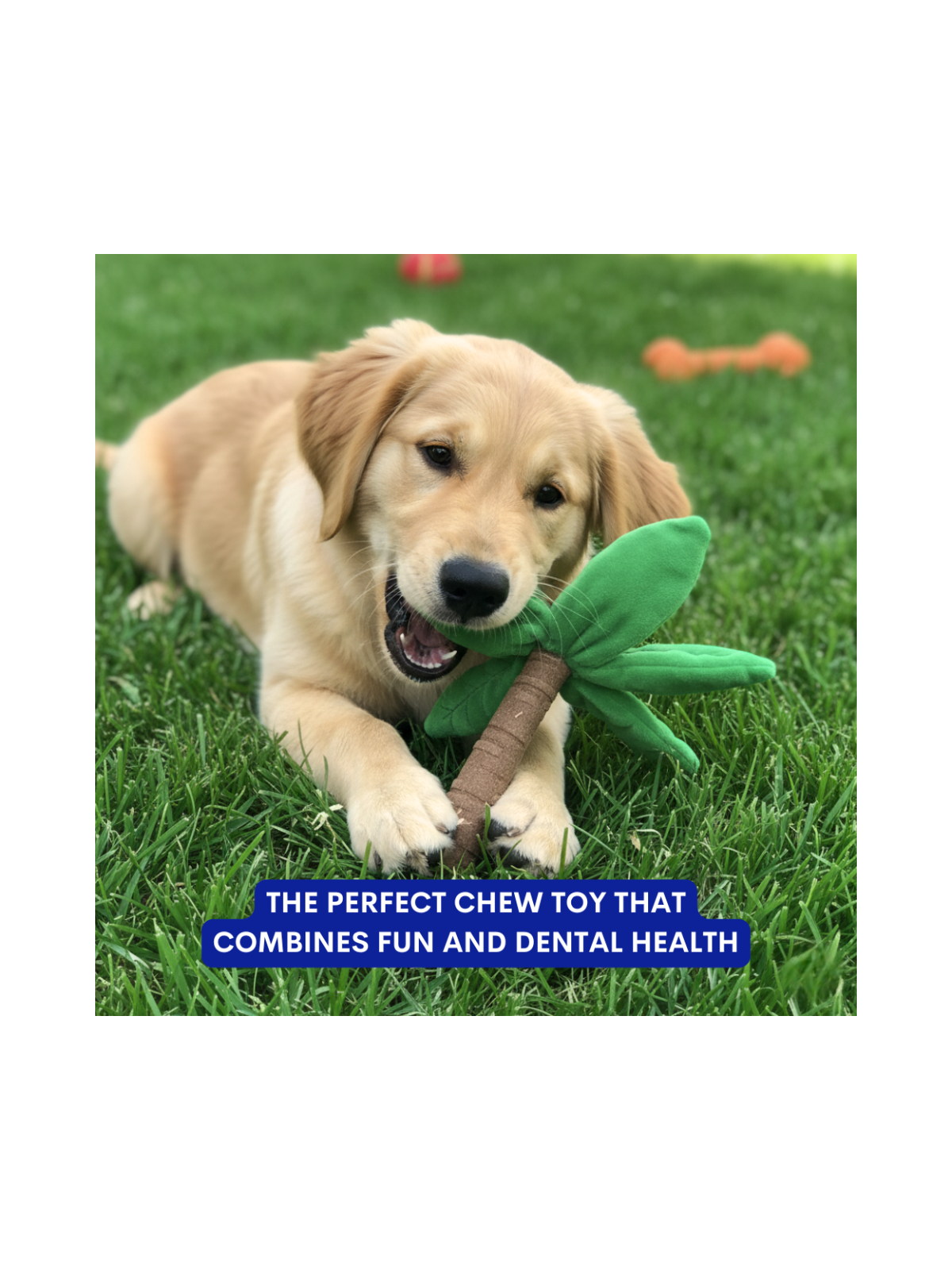 Baby Palm Chew Toy