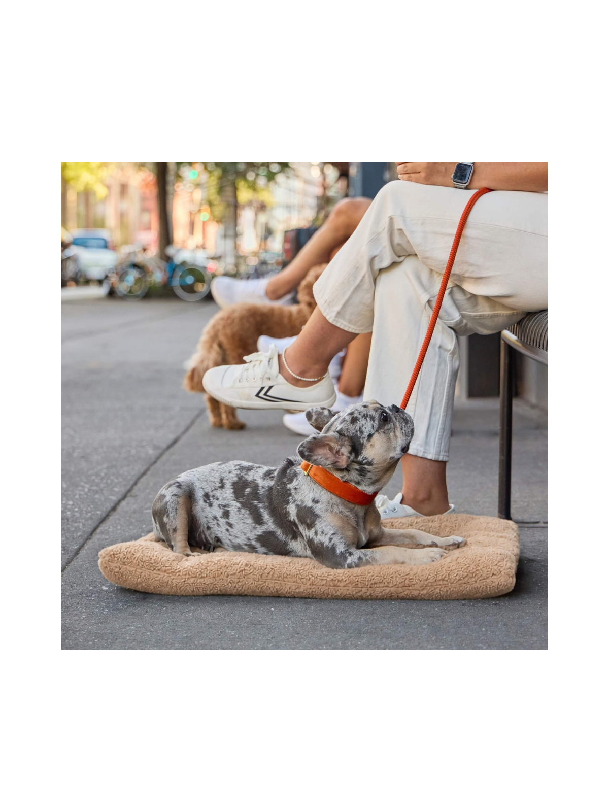 Latte Recycled Sherpa Dog Travel Mat