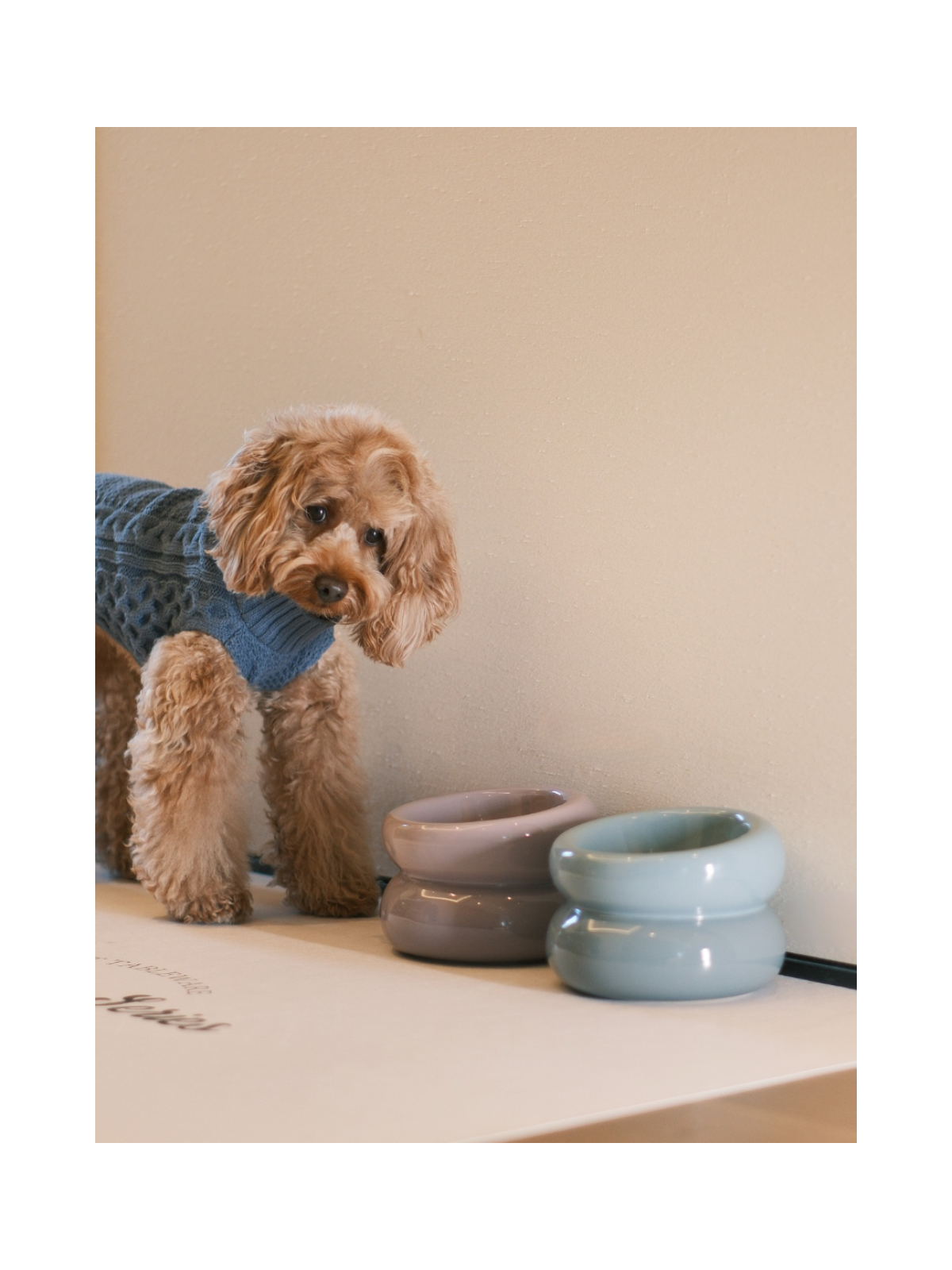 Soufflé Pet Bowl - Frozen Blue