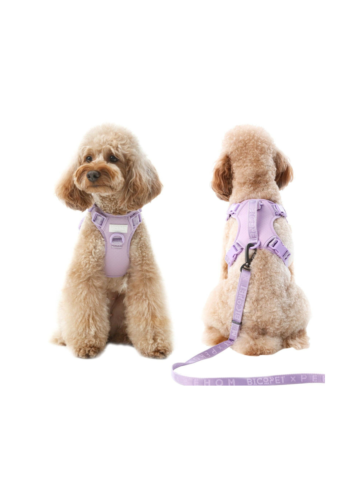 No Pull Active Dog Harness – Purple