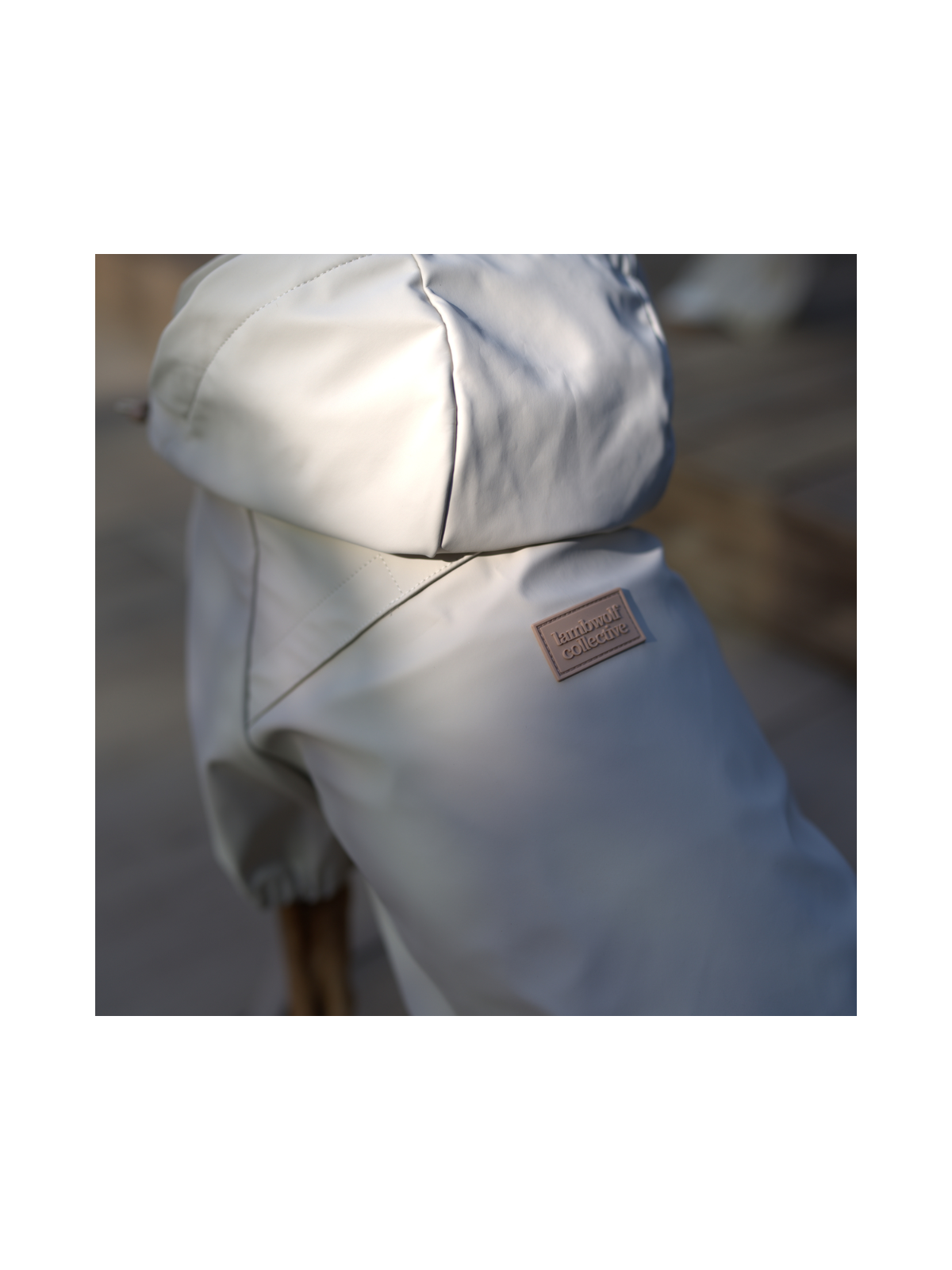 Brighton Packable Dog Rain Coat