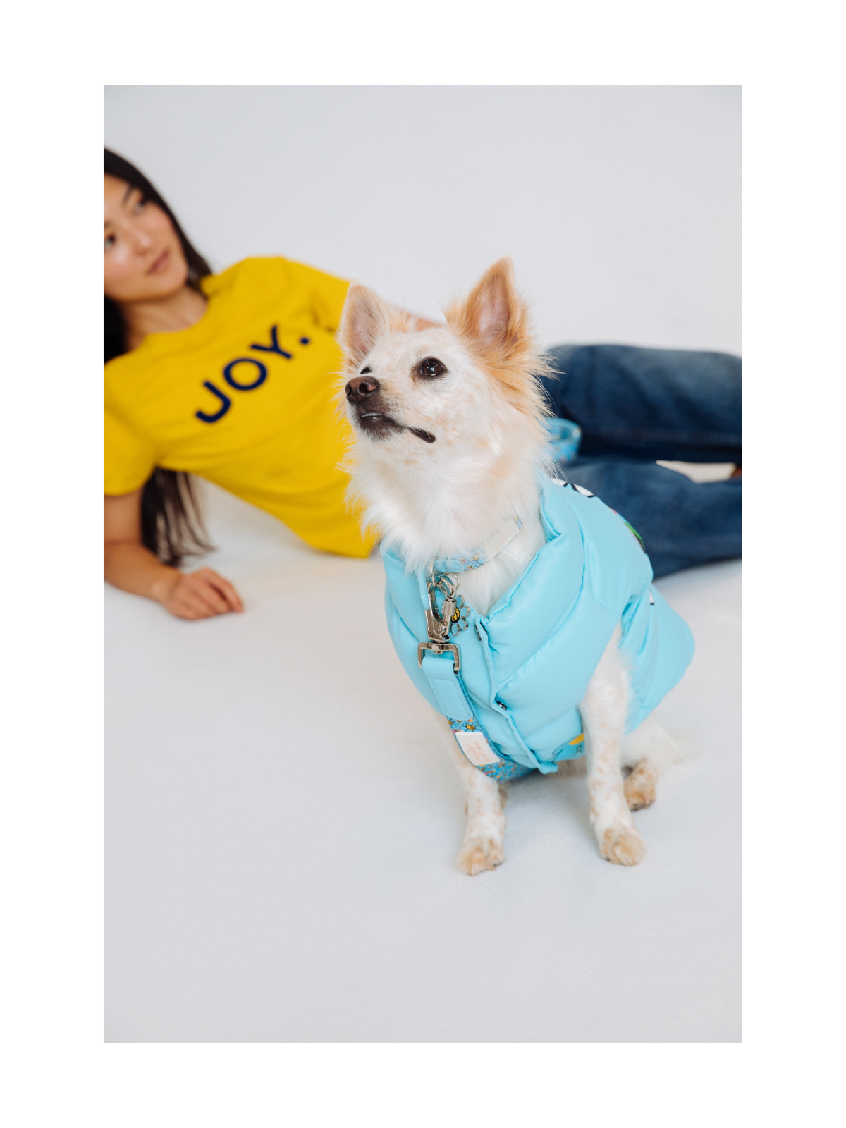 Marc Jacobs x Hattie Stewart Blue Puffer Dog Vest – Arabella Limited Edition