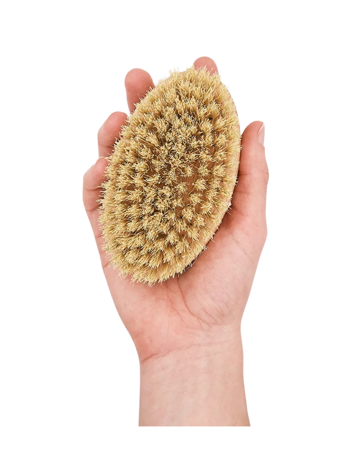 Teo Short Haired Dog Brush