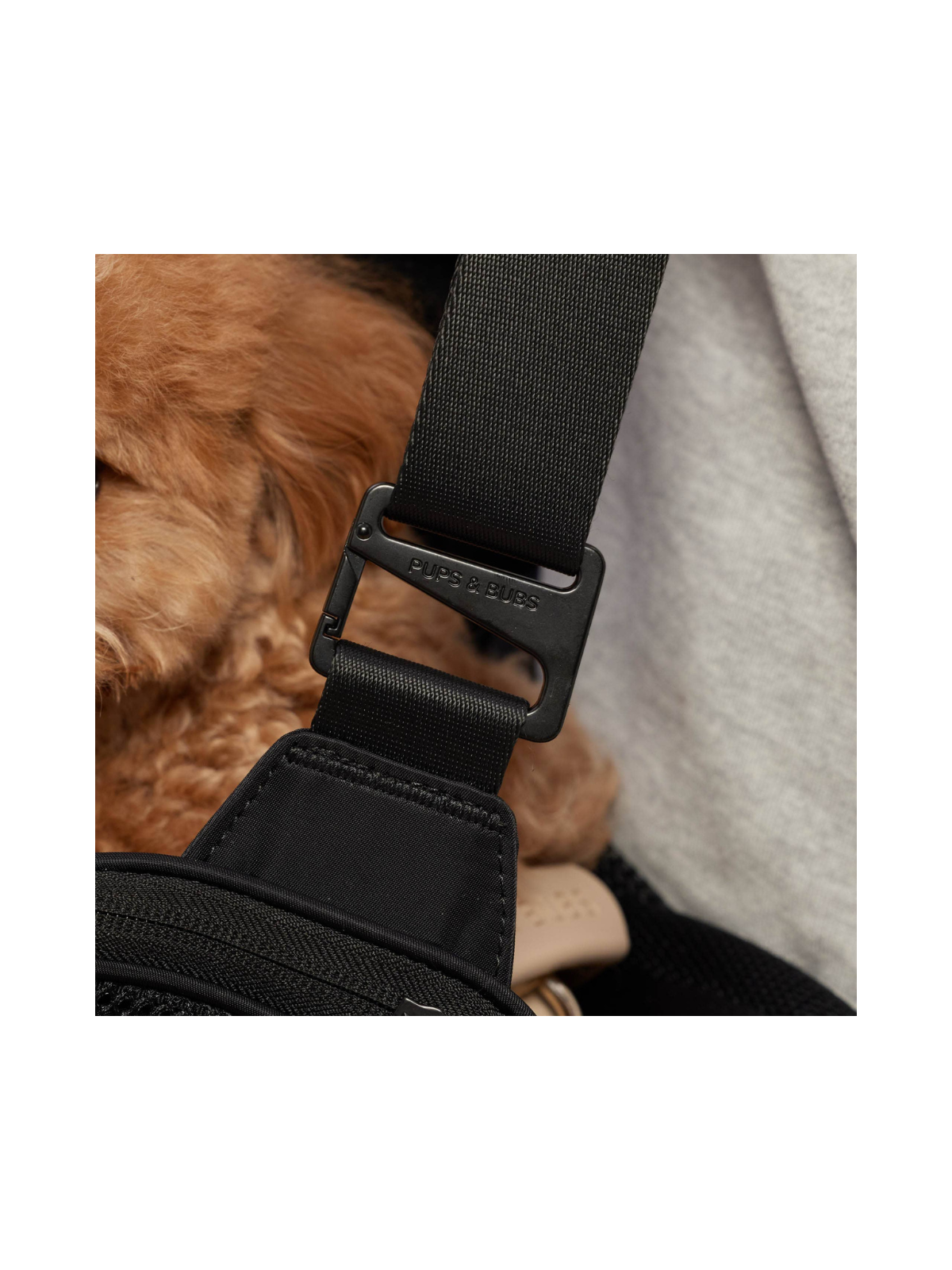 Onboard Travel Pet Carrier