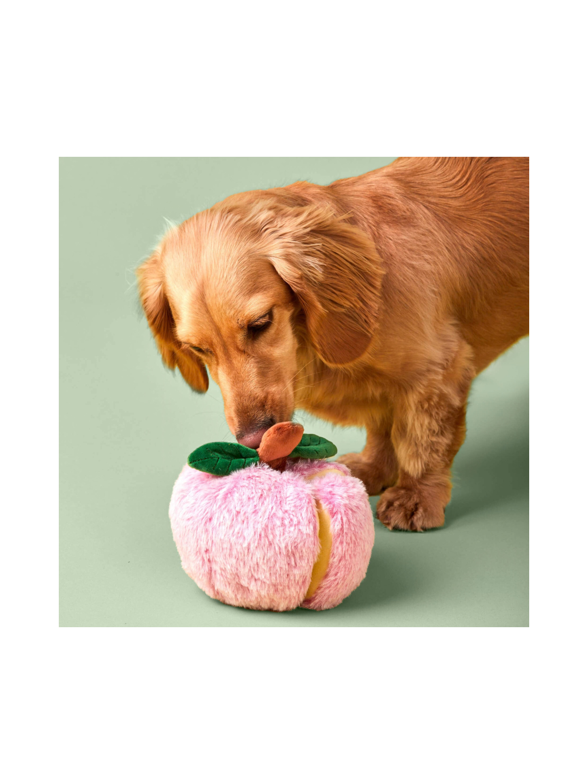 Apple Interactive Snuffle Dog Toy