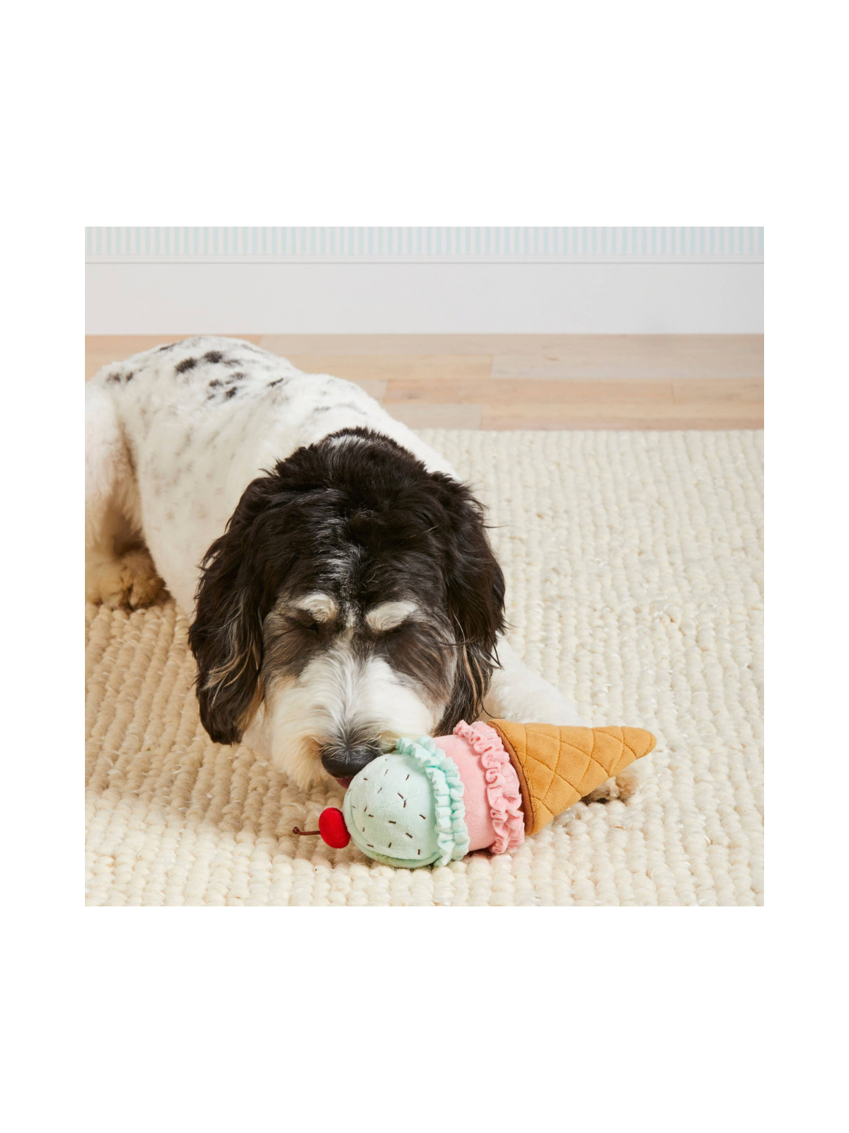 Ice Cream Interactive 2-in-1 Bounce Dog Toy