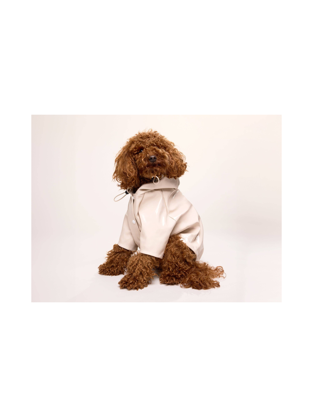 Cream Dog Raincoat