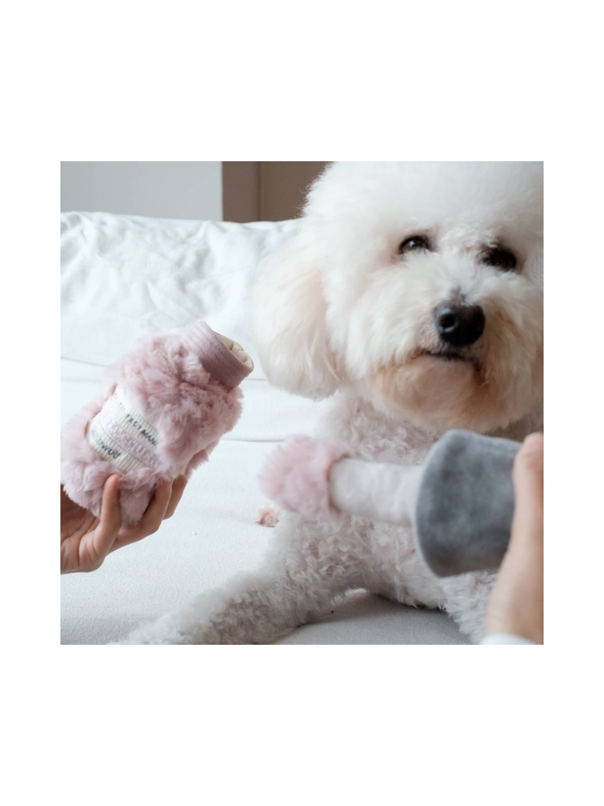 Nail Polish Enrichment Dog Toy