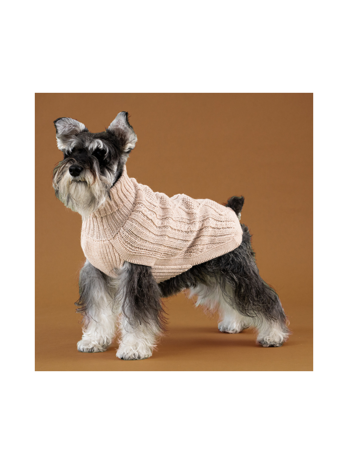 Aran Knit Alpaca Dog Sweater – Ivory