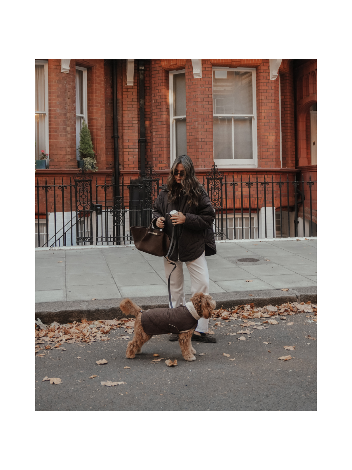 The Capsule Quilted Dog Coat – Chocolate
