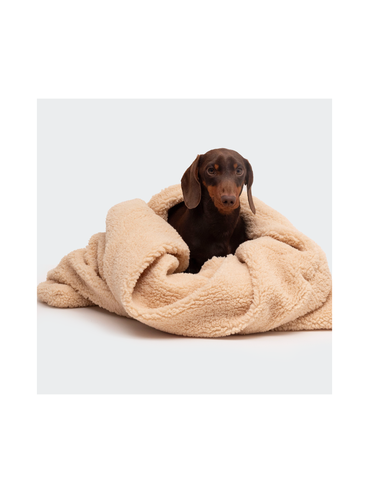 Teddy Cuddle Sleeping Bag – Beige