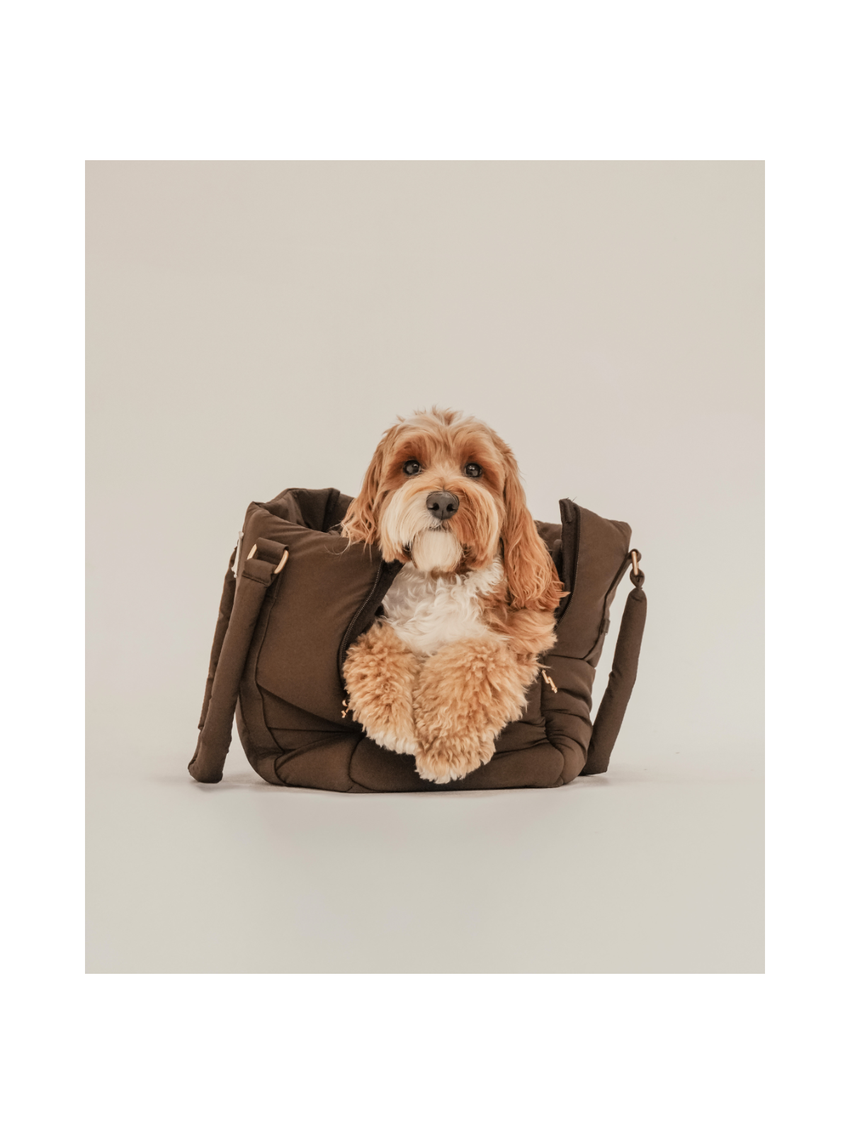 The Puffer Carrier – Chocolate