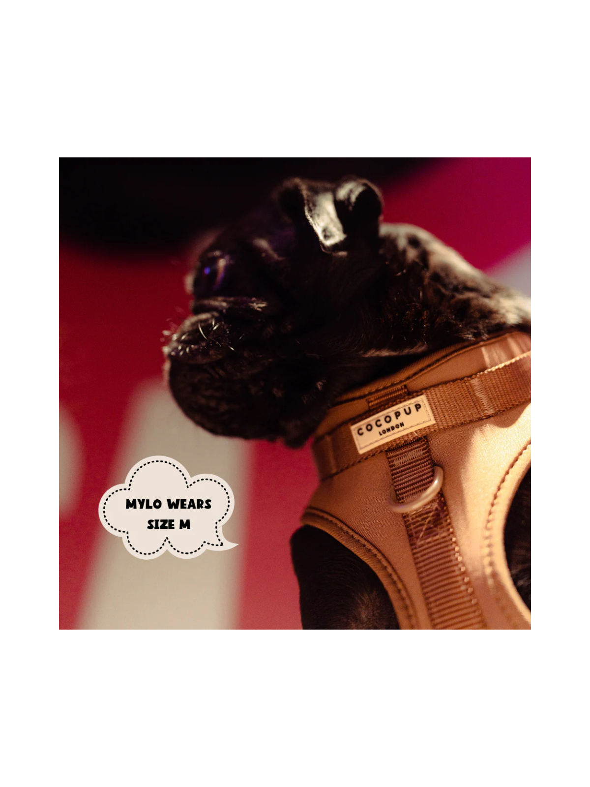 NAKD Adjustable Neck Harness – Brownie