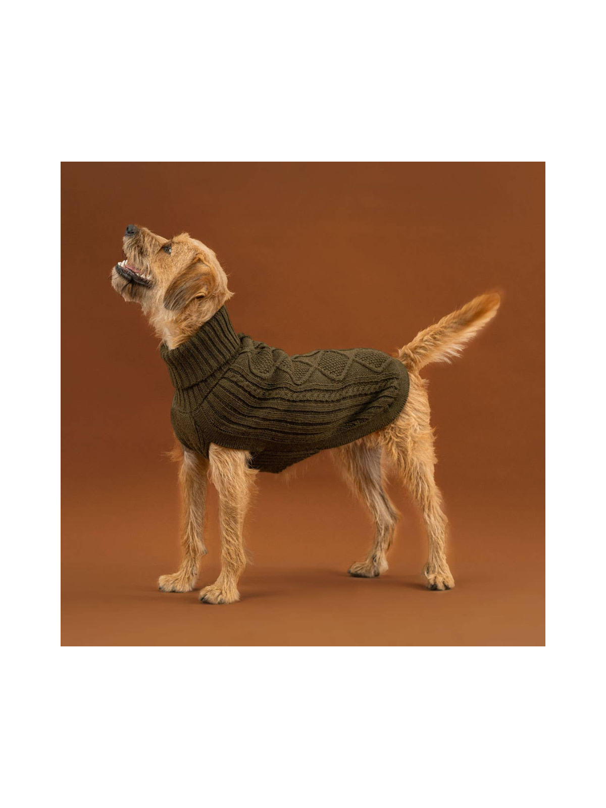 Aran Alpaca Dog Sweater – Forest Green