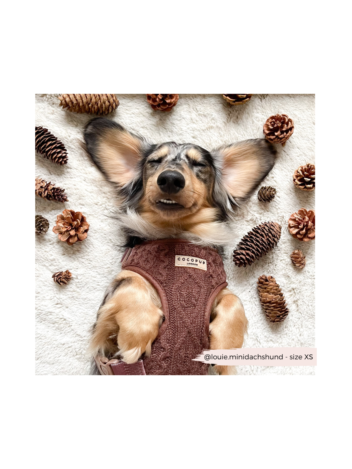 Cable Knit Jumper Adjustable Neck Harness - Hot Coco Brown