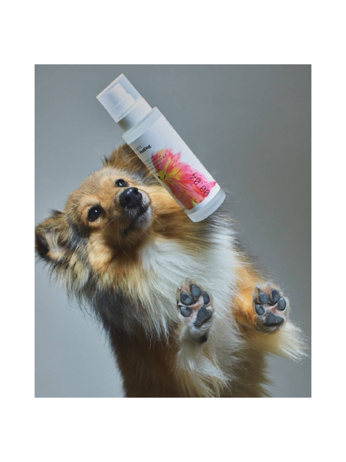 Dog Mist – Mid/night 00.00